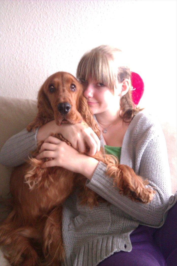 Cocker spaniel Hannibal<3 - ?? Hvad han for en ham der? billede 7