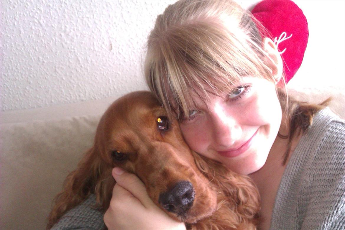 Cocker spaniel Hannibal<3 - Jeg bliver mast!! billede 8