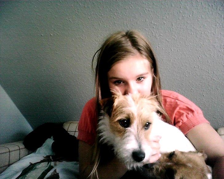 Jack russell terrier Conrad - Cam! billede 10