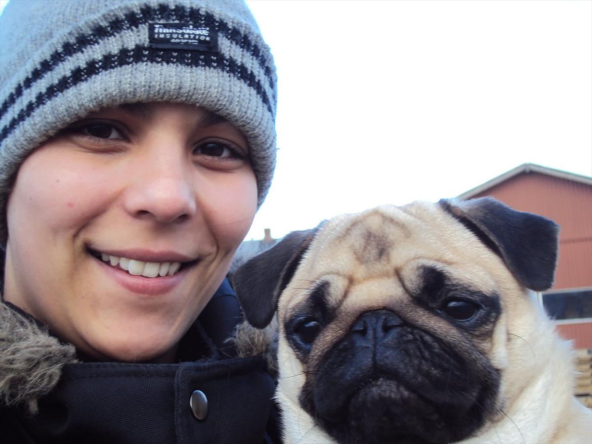 Mops Maddi - Marianne og Madd yeahhi;) billede 5