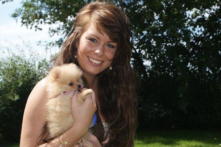 Pomeranian Malekits Lily Lola billede 11
