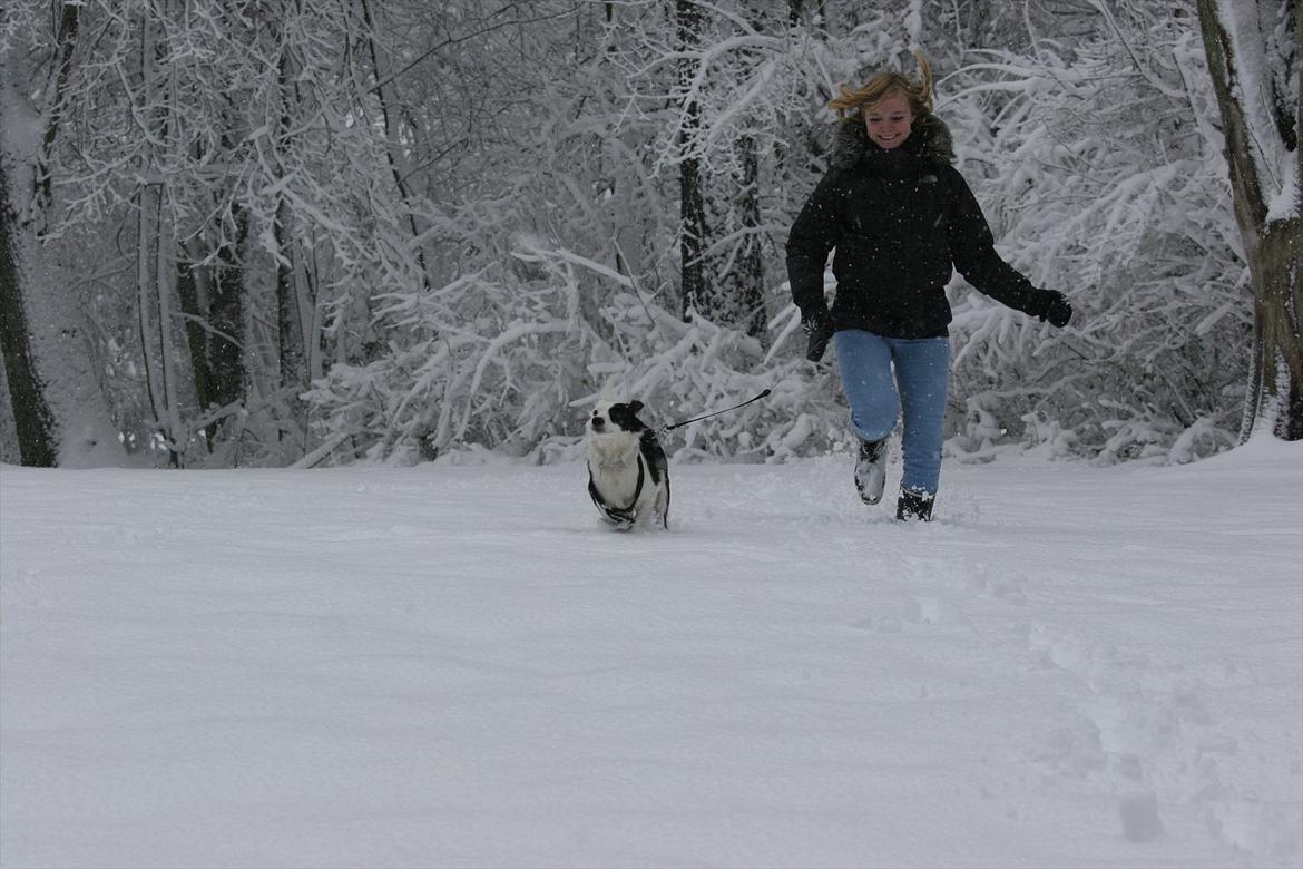 Blanding af racer Tulle -ikke min mere billede 8