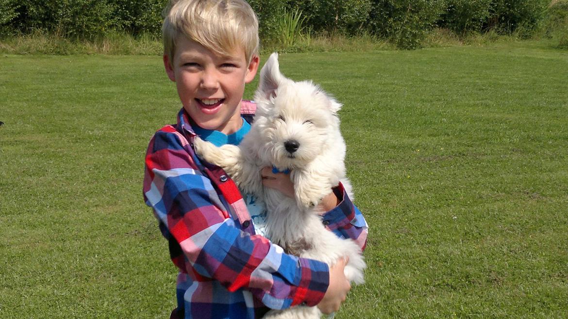 Blanding af racer Walde - Walde på en go' dag billede 1