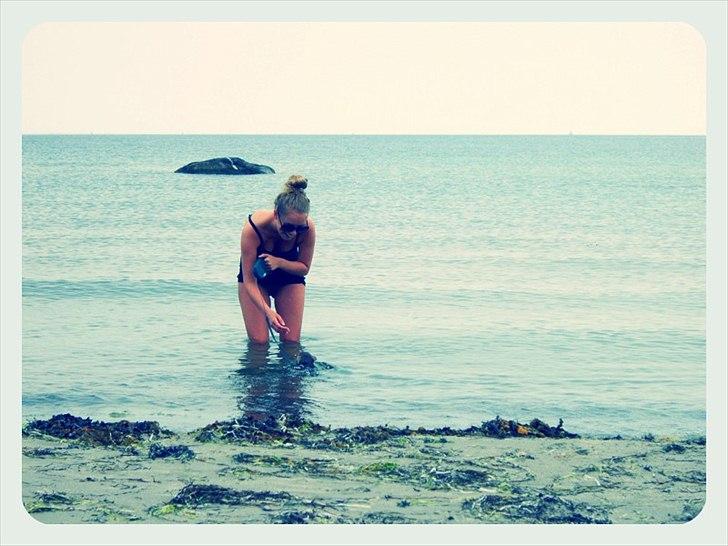 Chihuahua Kayla - Så er vi ude og bade for første gang.. billede 11