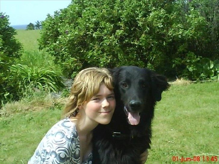 Blanding af racer BASSE - Aflivet d. 19 - 5 - 2009 * Rest in Peace* - Jeg kan ikke beskrive min kærlighed til dig, minskat. billede 18