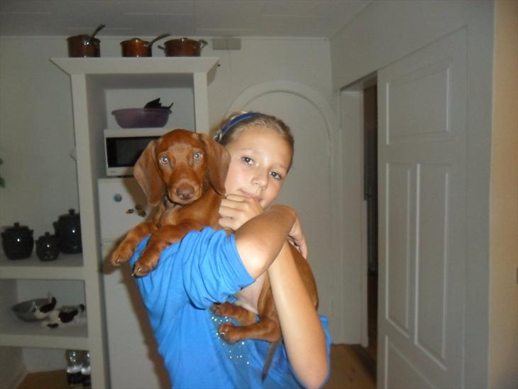 {{currentPhoto.altText}} billede {{currentPhoto.number}}