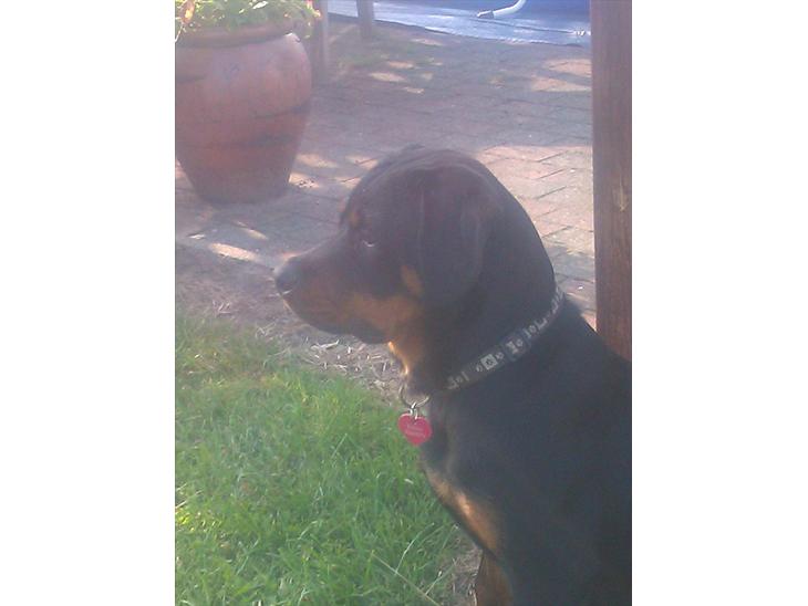 {{currentPhoto.altText}} billede {{currentPhoto.number}}