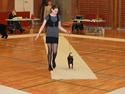 Dvaergpinscher Nikoline * R.I.P *