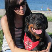 Rottweiler Tiki