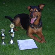 Blanding af racer Nero