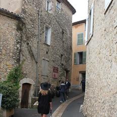 Skotsk terrier Nova (Himmelhund)