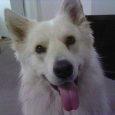 Blanding af racer Kayaq