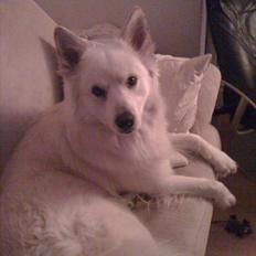 Blanding af racer Kayaq