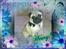Mops Henry