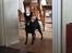 Dvaergpinscher Nikoline * R.I.P * - Min lille hund ryger kødben:)