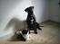 Dogo canario Lia