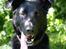 Blanding af racer Keiko<3 R.I.P.
