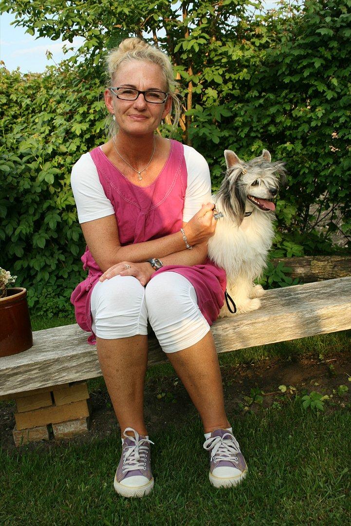 Chinese crested powder puff  Chang Mao: Báisé  - På besøg ved moster Ulla billede 14