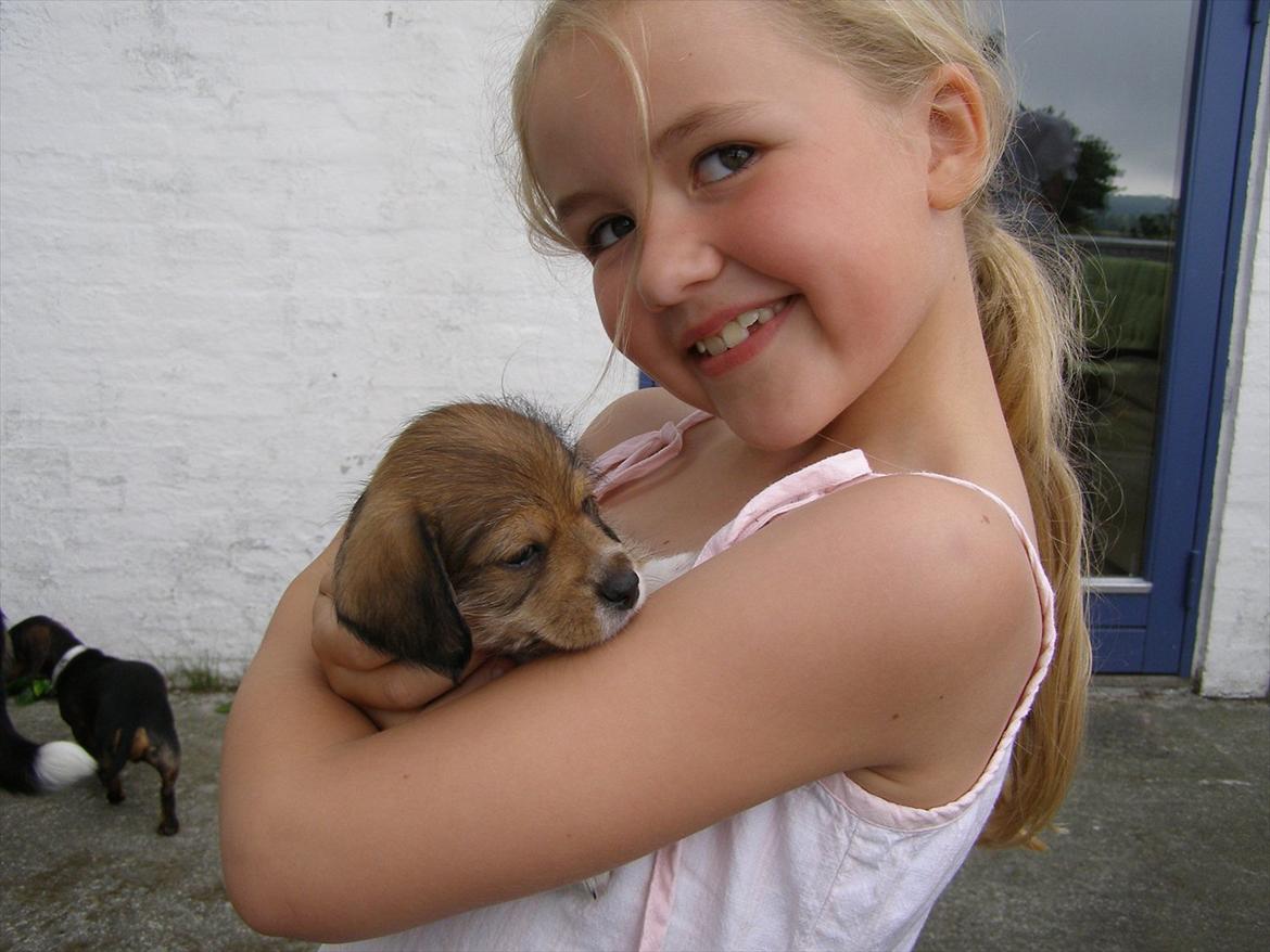 Blanding af racer juffi billede 3