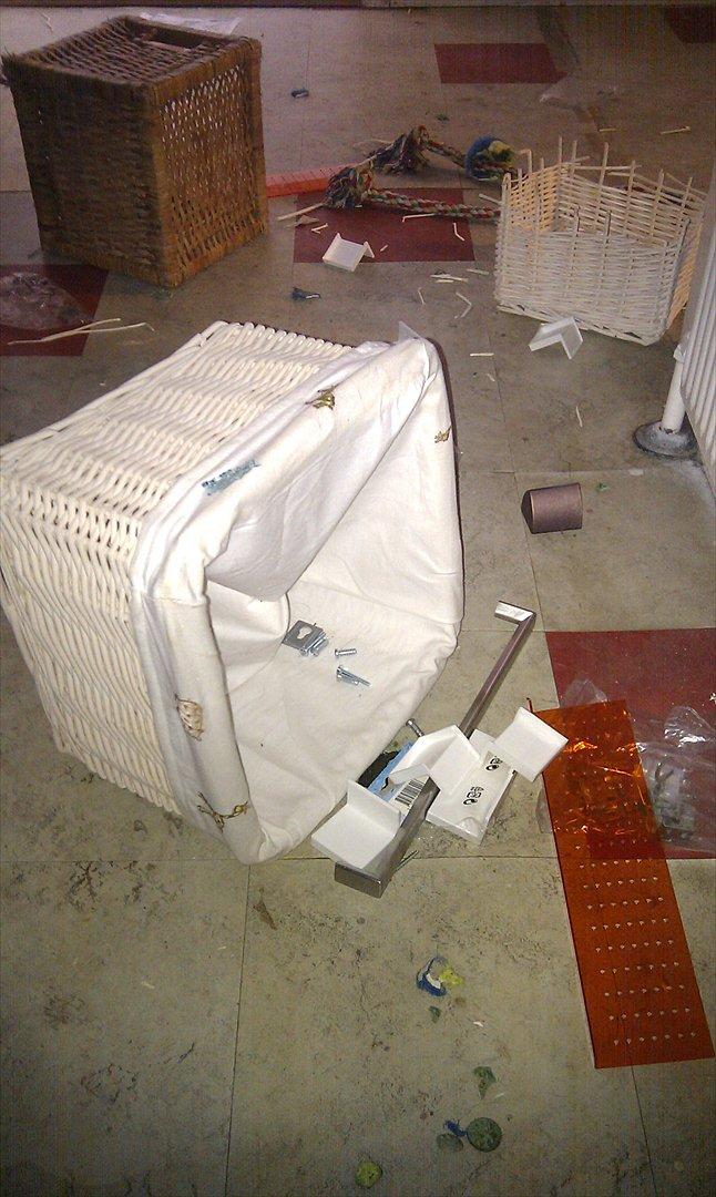 Schæferhund Juice 17/2-2011 - 7/9-2021 - jaaaa.. man hygger til tider lidt vel rigeligt.. billede 36