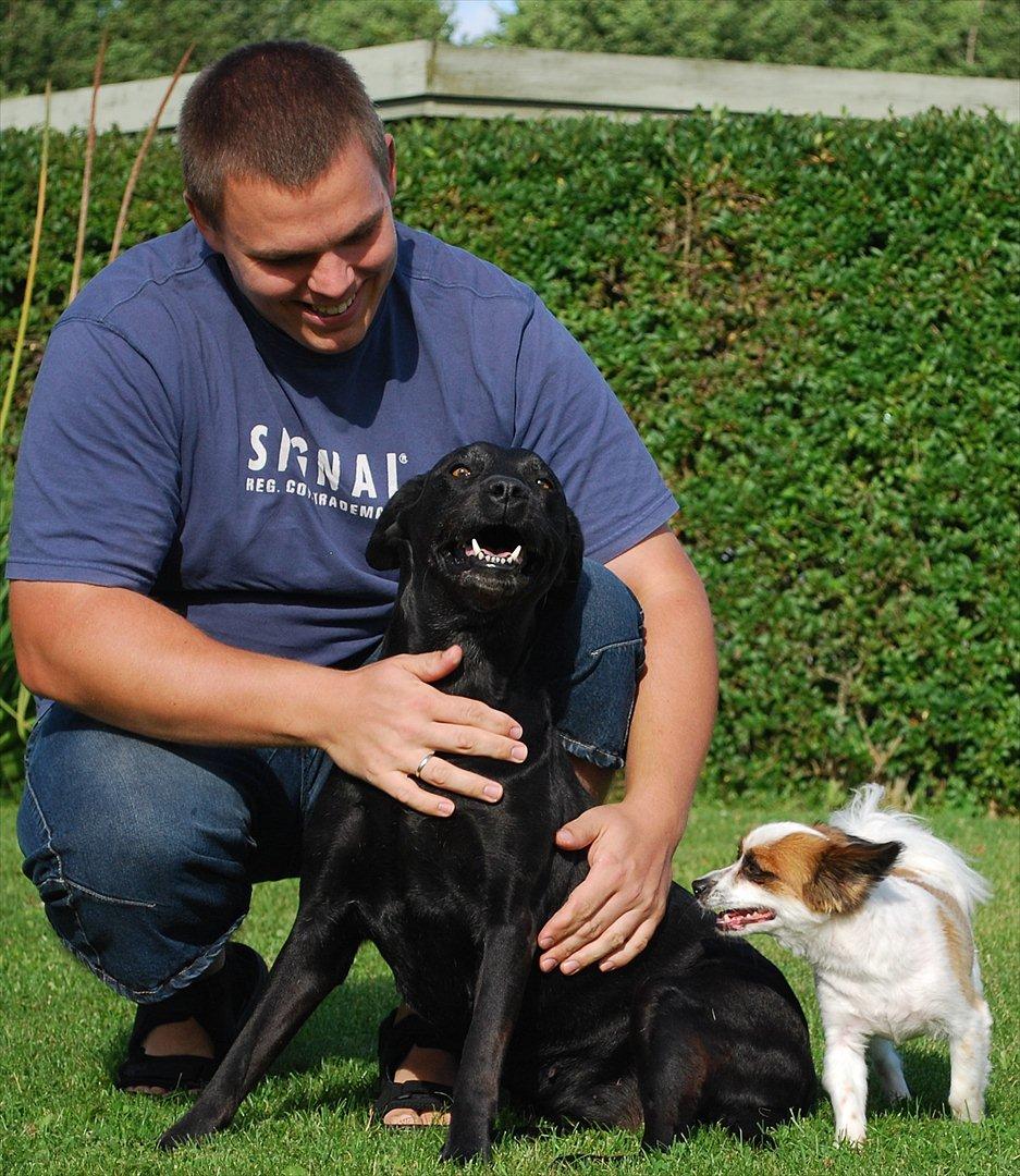 Labrador retriever Molly*R.I.P.* - Nyder sommeren sammen med min yndlings Christian! 7. august 2011 billede 13