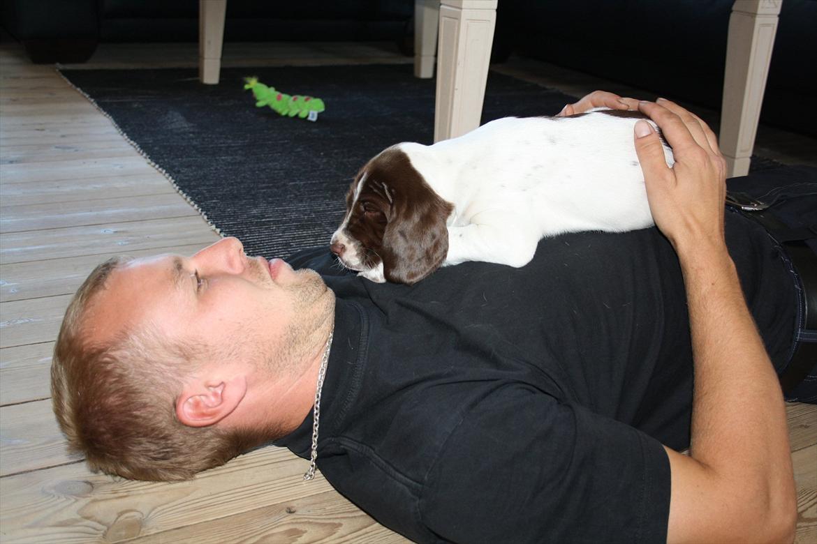 Blanding af racer Sally - hygge med min nye far billede 6