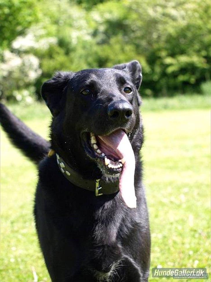 Blanding af racer Keiko<3 R.I.P. billede 18