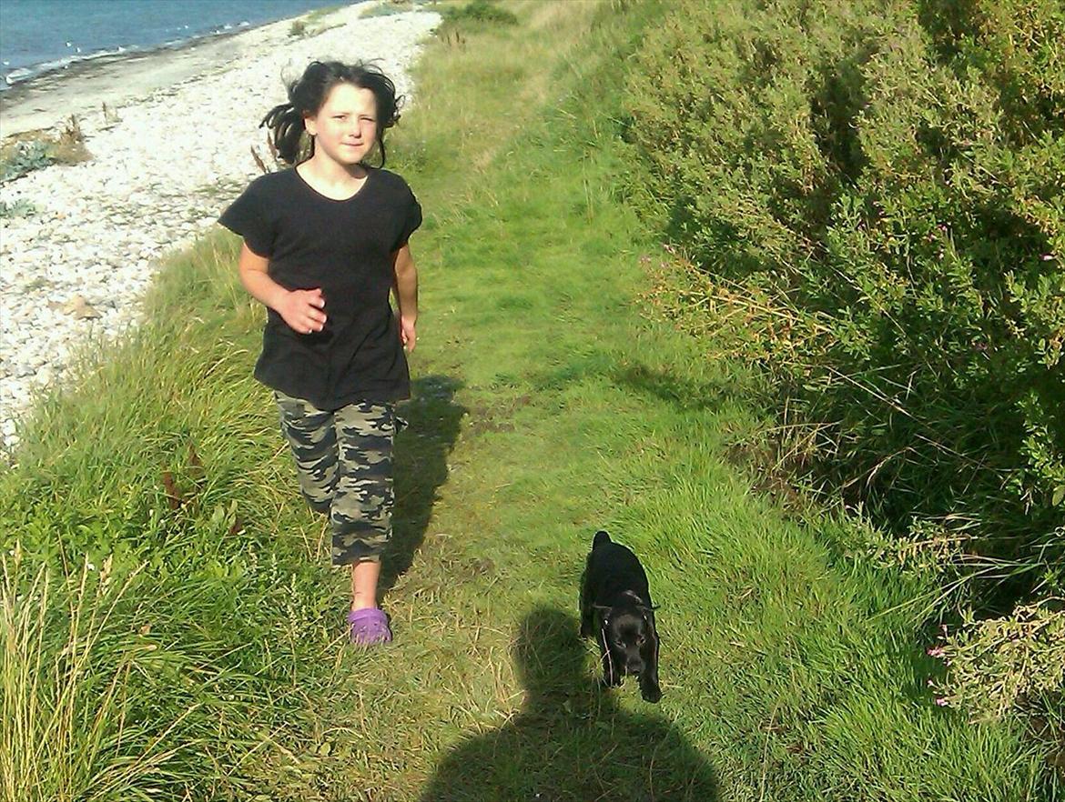 Patterdale terrier Tulle - Fie & Tulle på stranden billede 2