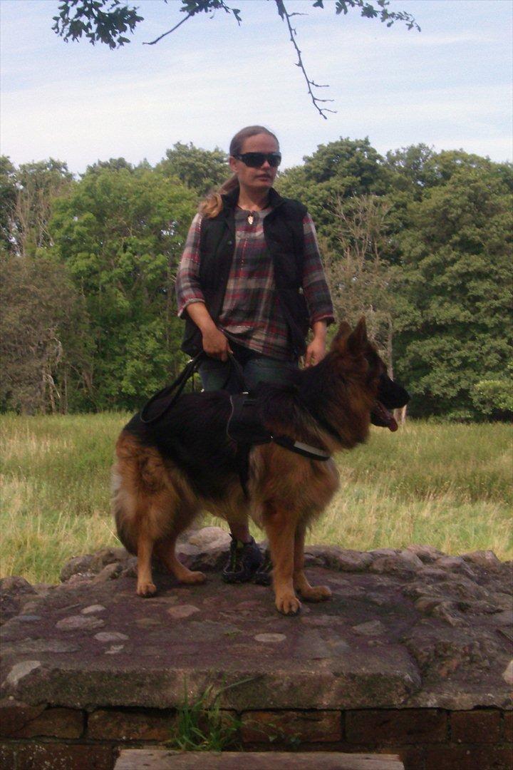 Schæferhund Victor - Her er jeg ude og undersøge Gurre Slotsruin sammen med mit menneske ;o) billede 16