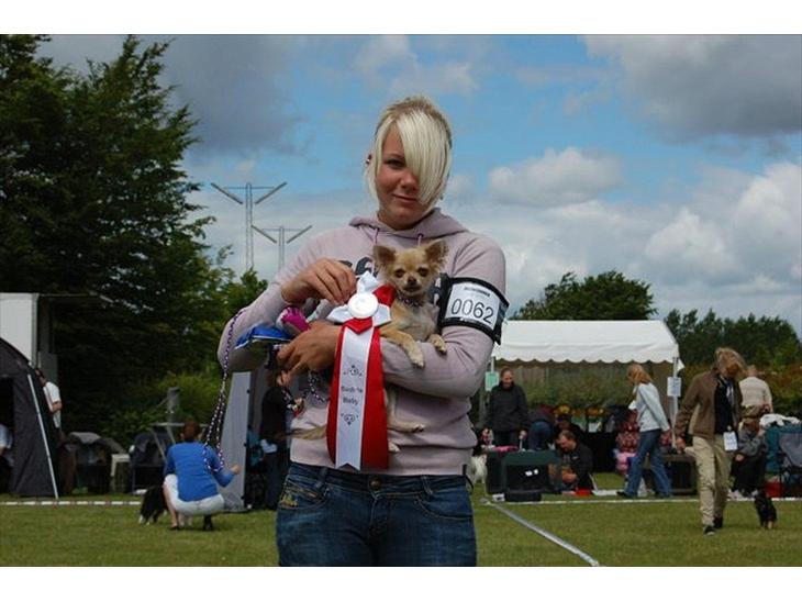 {{currentPhoto.altText}} billede {{currentPhoto.number}}