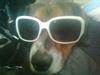 Blanding af racer Buller <3 <3 <3 :D