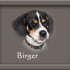 Blanding af racer Birger