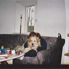 Blanding af racer Bølle