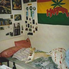 Blanding af racer Tjika