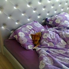 Blanding af racer Viggo