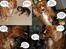 Cavalier king charles spaniel Malou - ved godt at der ikke kun er malou på, men ville altså dele det med jer. :)
Håber det er okay.