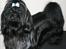 Shih tzu CHRIS KOBRA