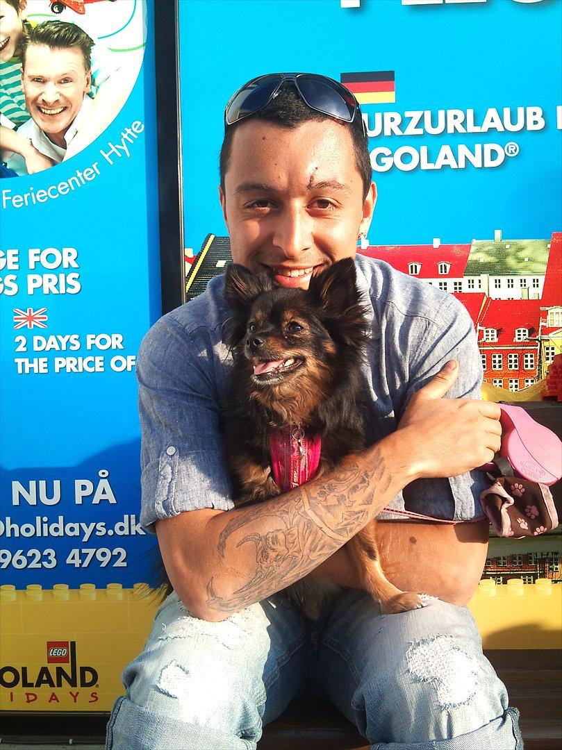 Kleinspitz Suki - En hygge tur i legolang :) billede 19