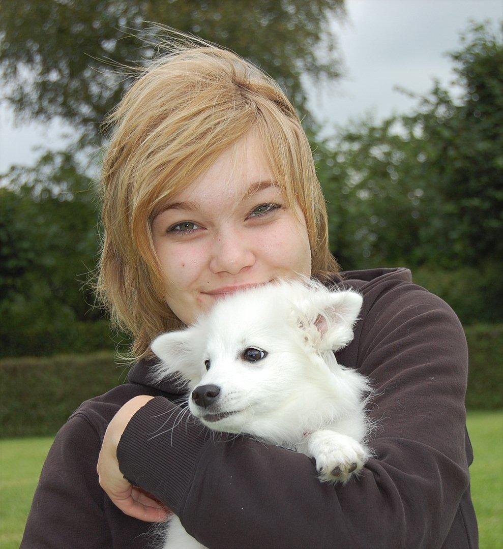 Japansk spids Selina - Min lille gris <3 billede 21