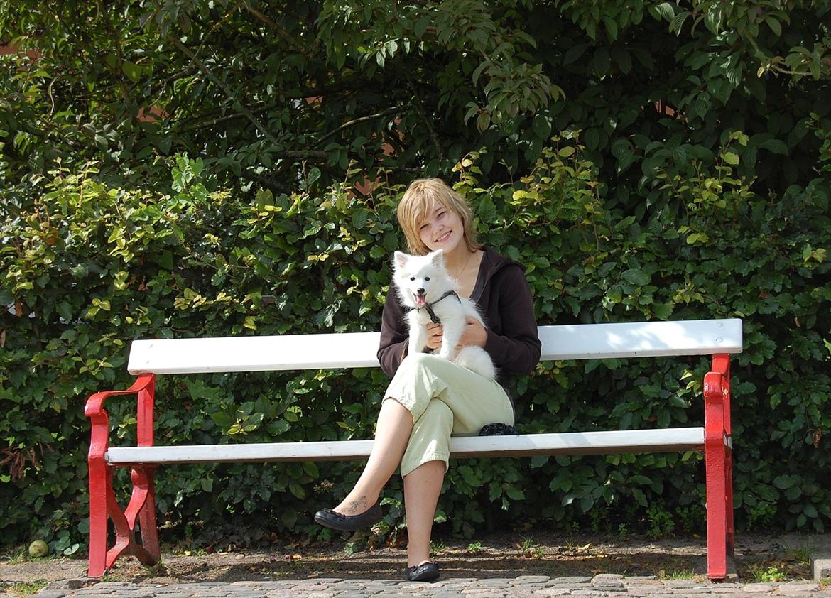 Japansk spids Selina - Tak fordi du kigget :D billede 22