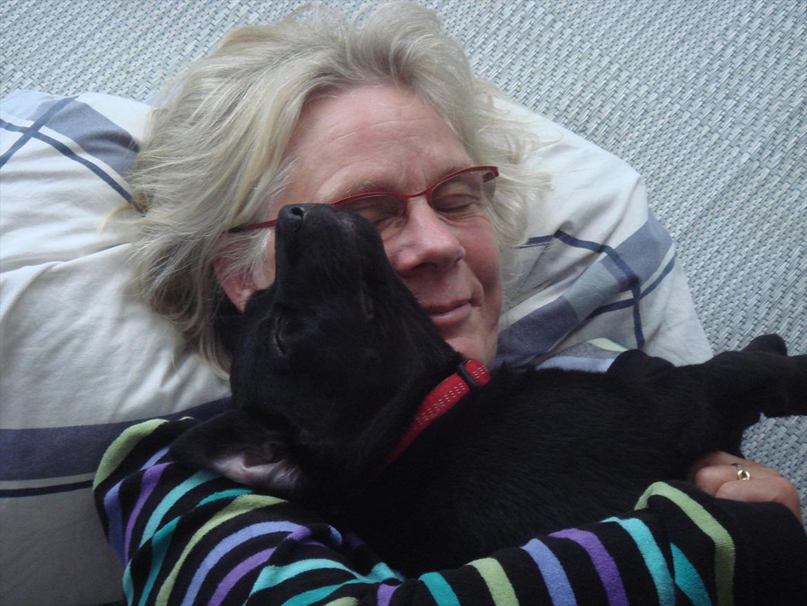 Blanding af racer Molly - Molly og Mormor får sig en lille lur ahah '<'3 billede 8