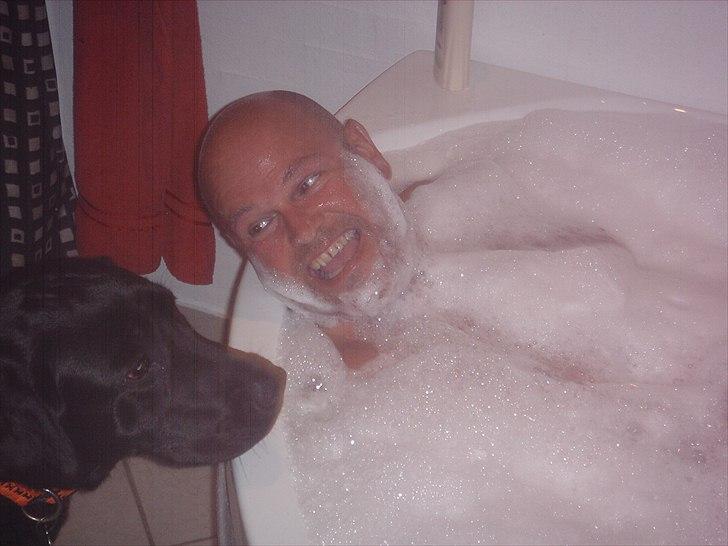 Labrador retriever Sofus Krølben - Far i spa... snyd at jeg kun måtte kigge på.... kunne da godt lige... billede 16