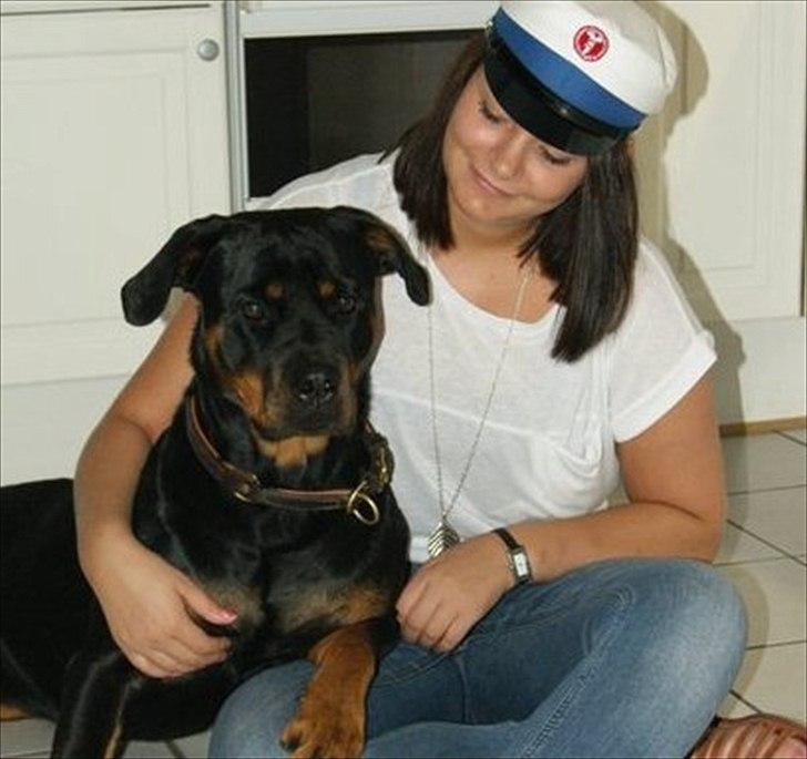 Rottweiler Fie billede 11