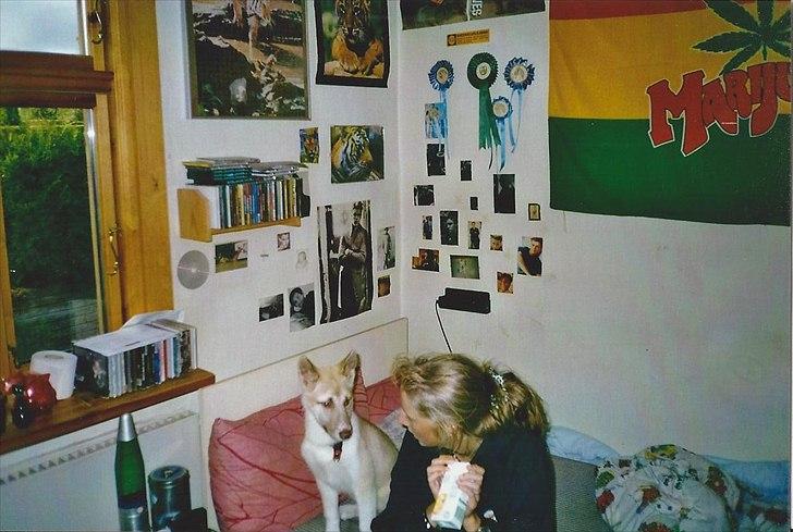 Blanding af racer Tjika - Hvad er det du har der mor billede 4