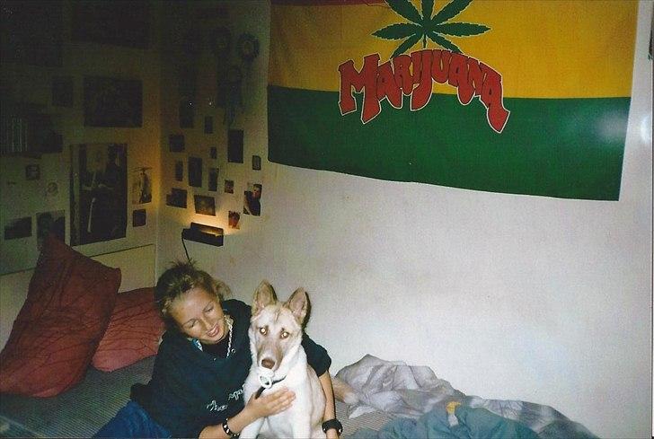 Blanding af racer Tjika - Hun har selv taget sutten i munden billede 5