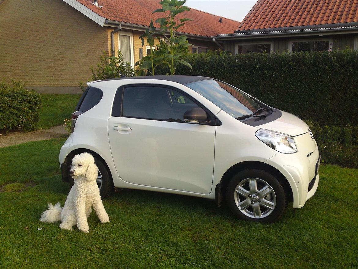 Storpuddel Nanna - Nanna ved sin nye bil Emma :-) billede 9