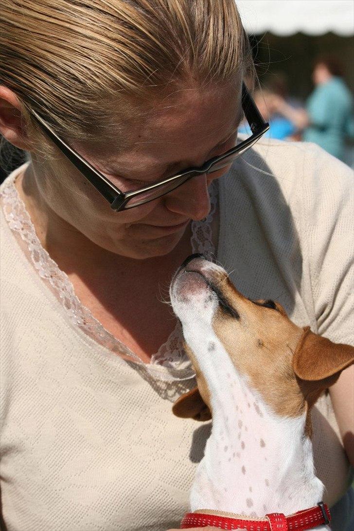 Blanding af racer Johna Stockton - Hygger med min mor, på udstilling i Vejen, juli 2011... 12 uger gammel billede 11