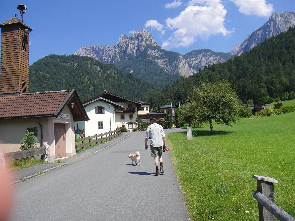 Norsk buhund Rufus - Rufus med på bjergvandring i Østrig billede 3