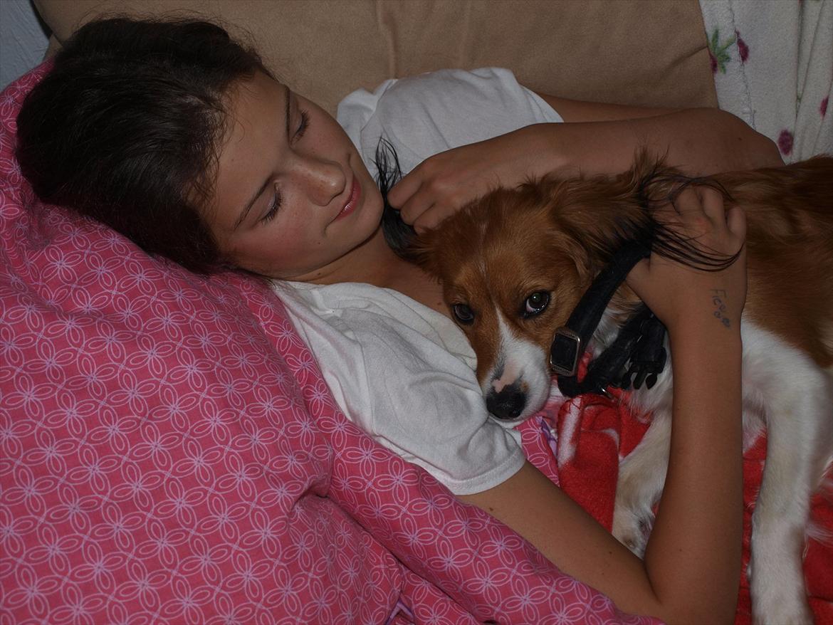 Kooikerhondje Vitovani's Carlita D'Belox | Cita | - Nr. 15 Cita & Jeg<3 billede 15