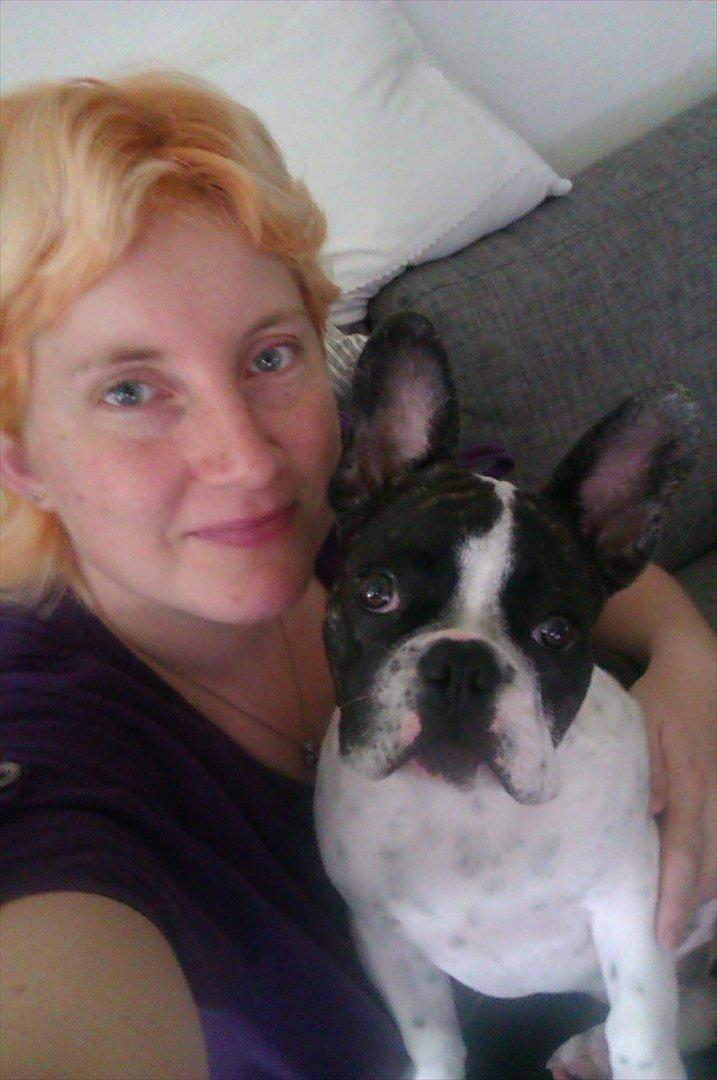 Fransk bulldog Gimli - Uhh, det er hårdt at skulle tidligt op, men det er så hyggeligt når lillefis så kommer og vil sidde på skødet :) billede 15